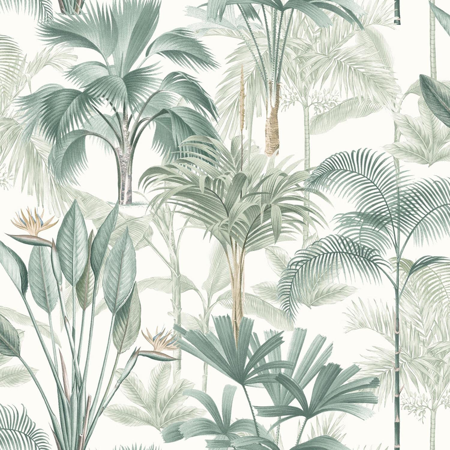 King Palm Green White Wallpaper - Tropical Leaves Botanical Floral Plants Nature - Modern Contemporary