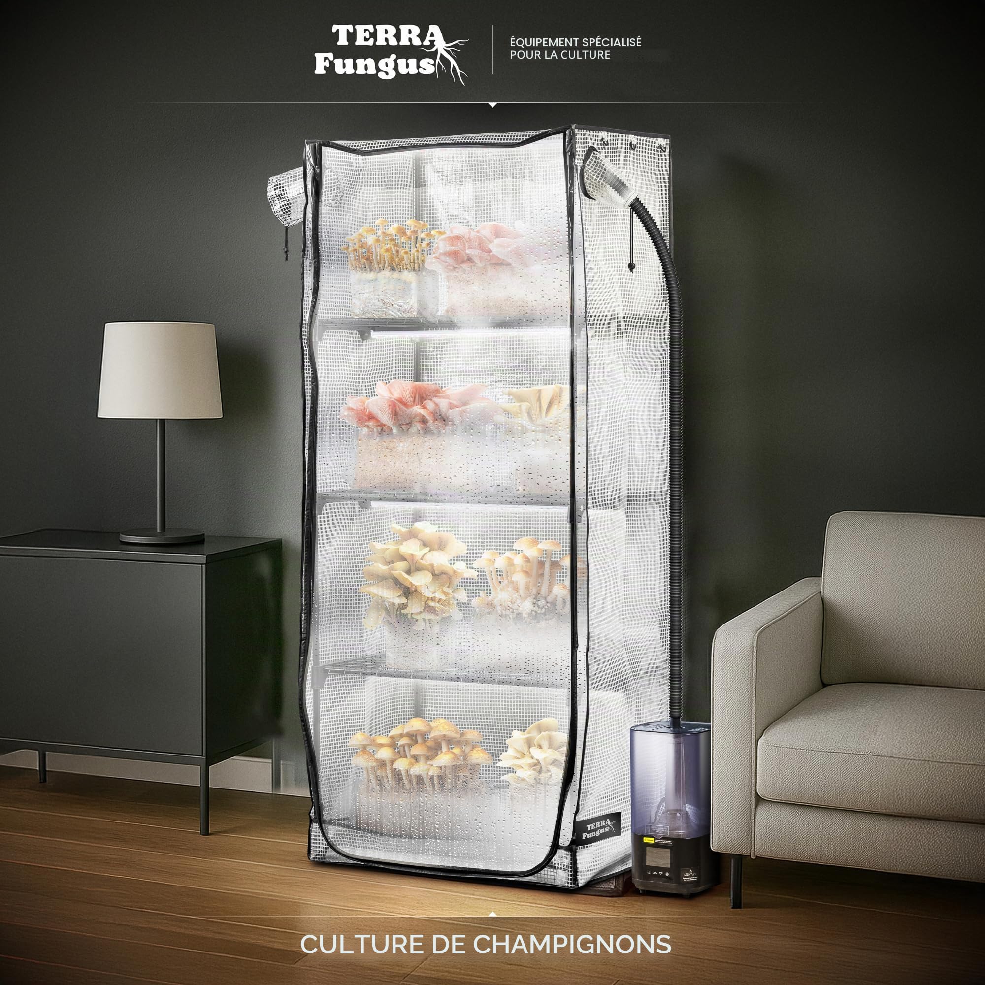Tente de culture pour champignon avec lumière et minuterie, lampe de croissance à DEL 6500 K, aérations de 10,2 cm compatibles avec les accessoires, serre intérieure avec lampe de culture, tente