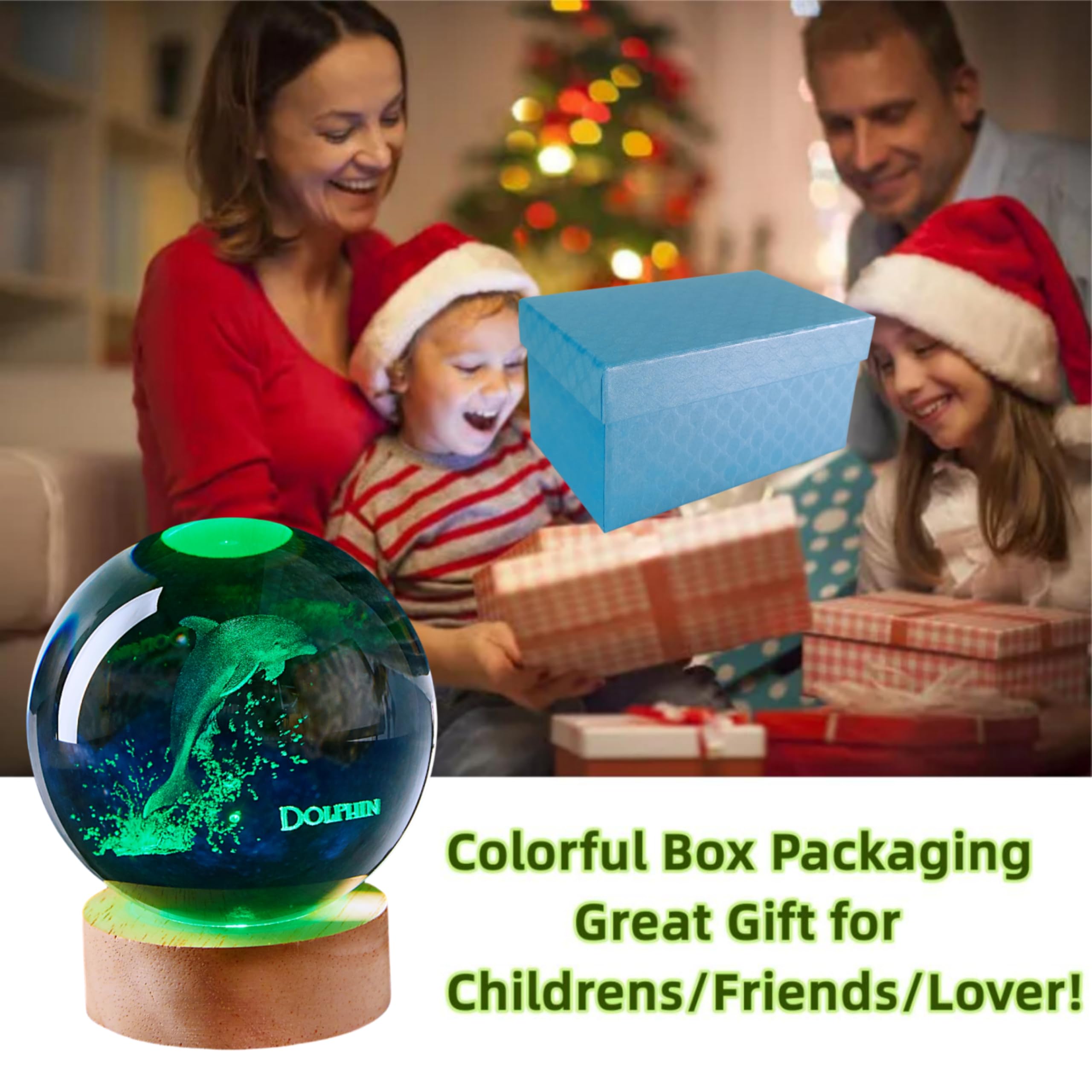 View 5
