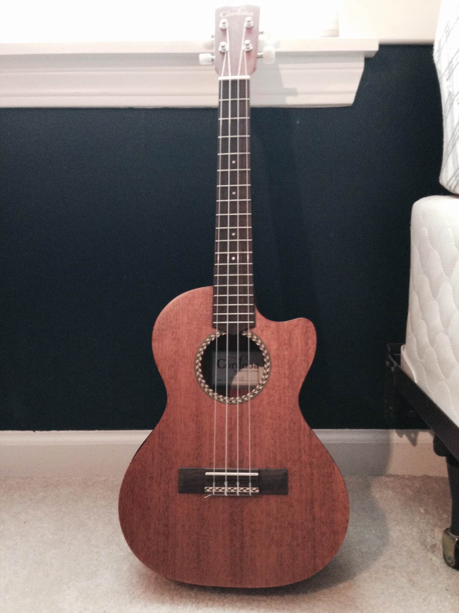 Amazon.com: Cordoba 20TM-CE Acoustic Electric Tenor Ukulele with