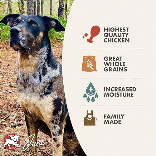 Miniatura 3 de Fromm Comida para perros con paté de pollo y arroz - Comida húmeda prémium para perros - Receta de pollo - Caja de 12 latas