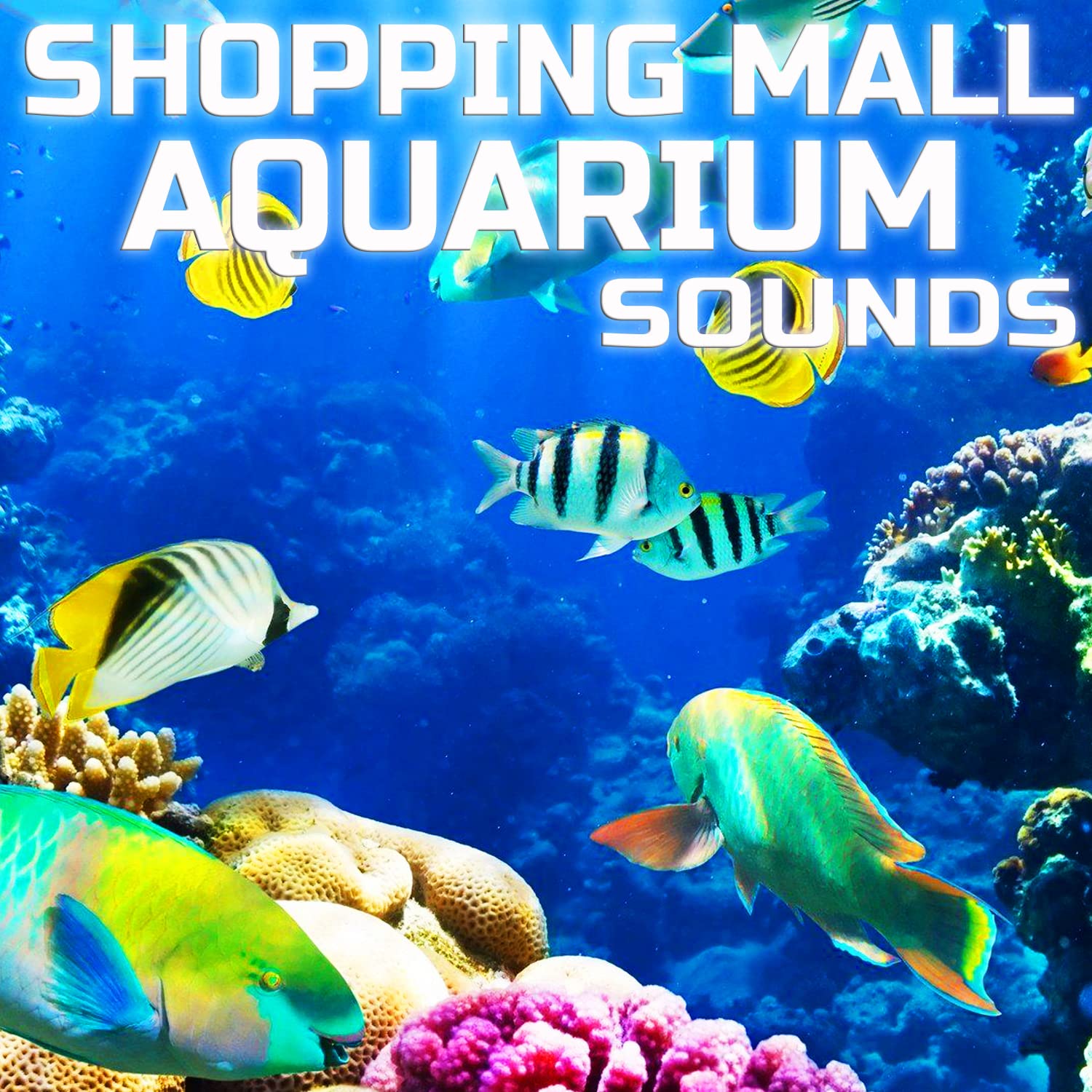 Shopping Mall Aquarium Sounds