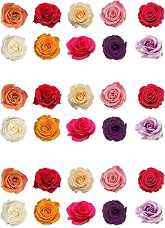 Top That 30 Mixed Color Rose Flower Wafer Paper Cake Toppers (30 Pieces)