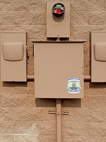 Miniatura 6 de WSQ Paquete de 2 calcomanías de vinilo con texto en inglés «What Doesn't Kill You Only Makes You Stronger Except Electricity», 4 pulgadas,