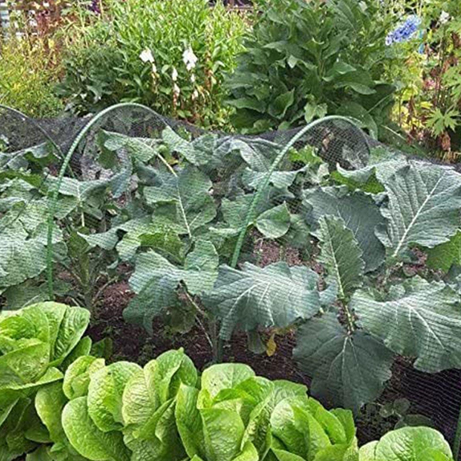 10 Cerceaux en en Fibre Verre Jardin pour Serre - - pour Serre