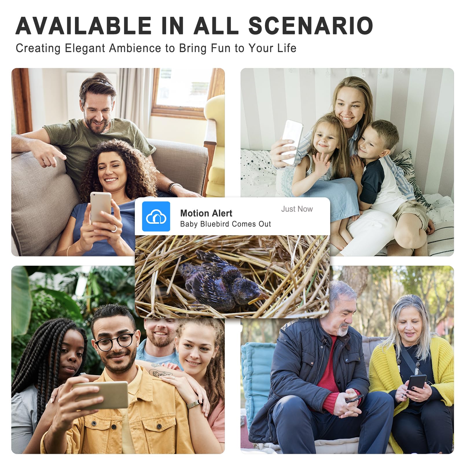Casetta Uccelli con Telecamera HD 4MP, Nidi Uccellini da Esterno, Resistente Alle Intemperie, 2,4G WiFi e Notifica App, Osservare Nidificazione e Allevamento, Registrazione Video Automatica, A
