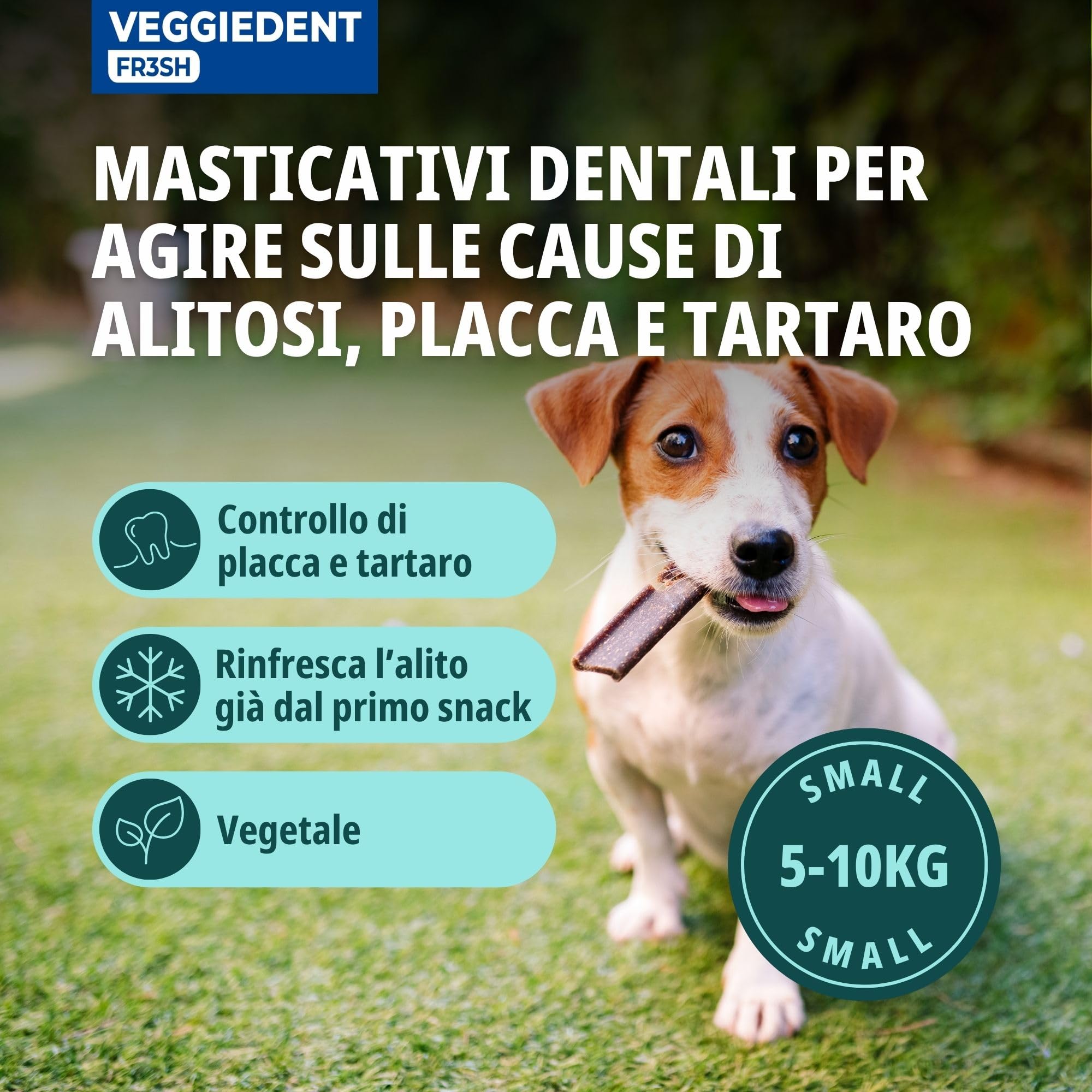 Virbac Veggiedent Mangime Complementare 15 Strisce Anti Tartaro e Alito Fresco per Cani Sotto 10 Kg