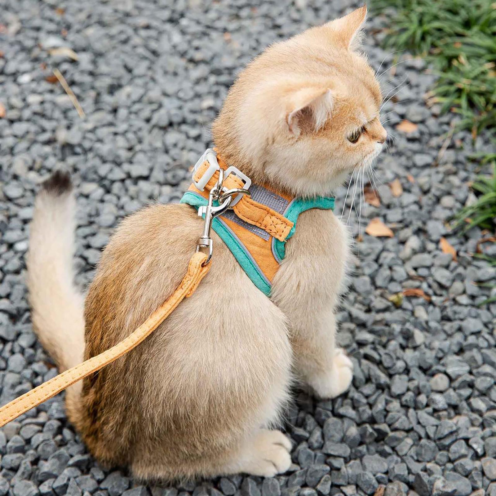 Juego de arnés y correa para gatos, chaleco de malla suave y transpirable, diseño ajustable para caminar al aire libre, fácil de llevar para gatos pequeños y medianos
