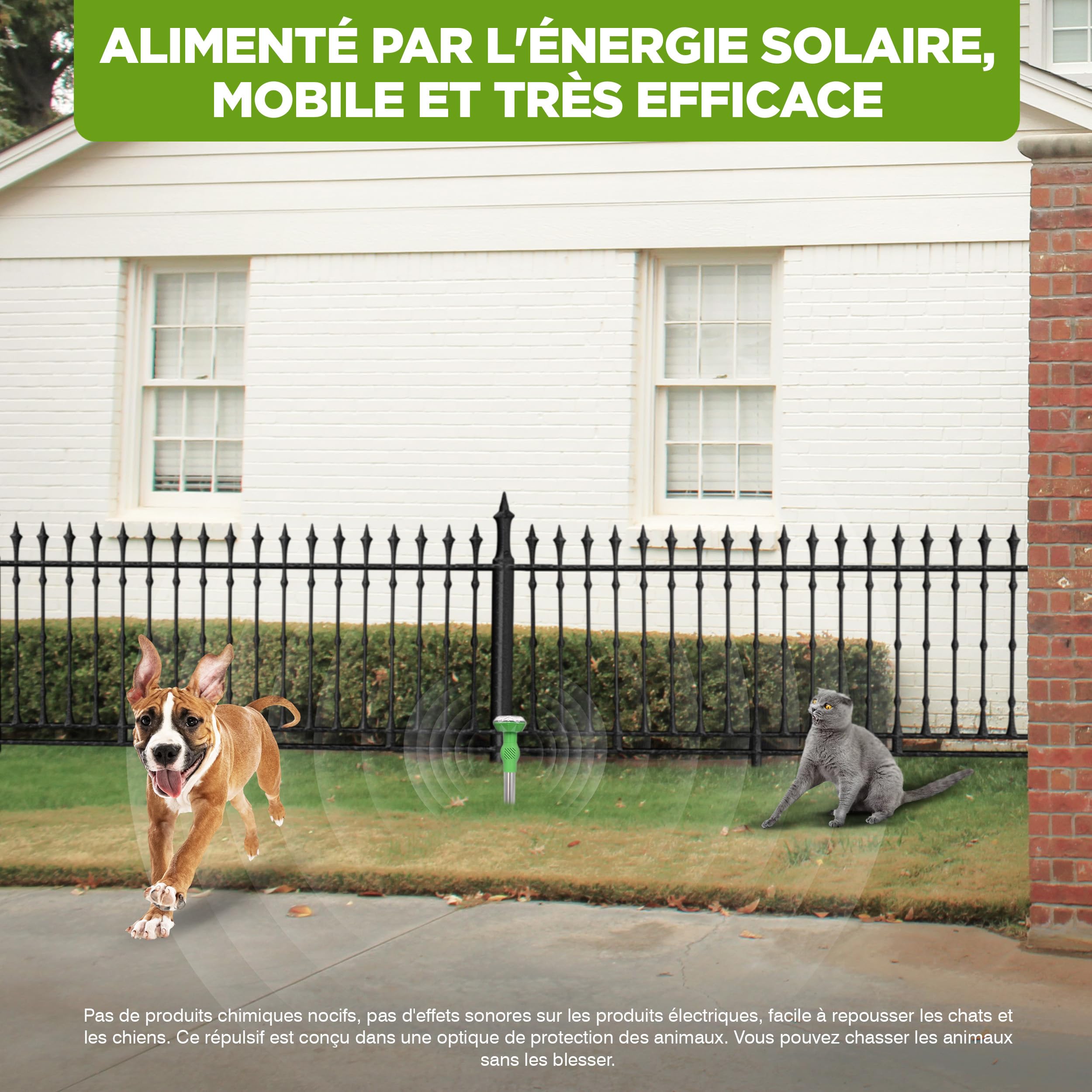 ISOTRONIC Répulsif Solaire pour Chats, Chiens, Renards et ratons laveurs – Répulsif ultrasonique pour Chats et Chiens pour Le Jardin – Répulsif avec Une portée Efficace de 40 m² (2 unités)