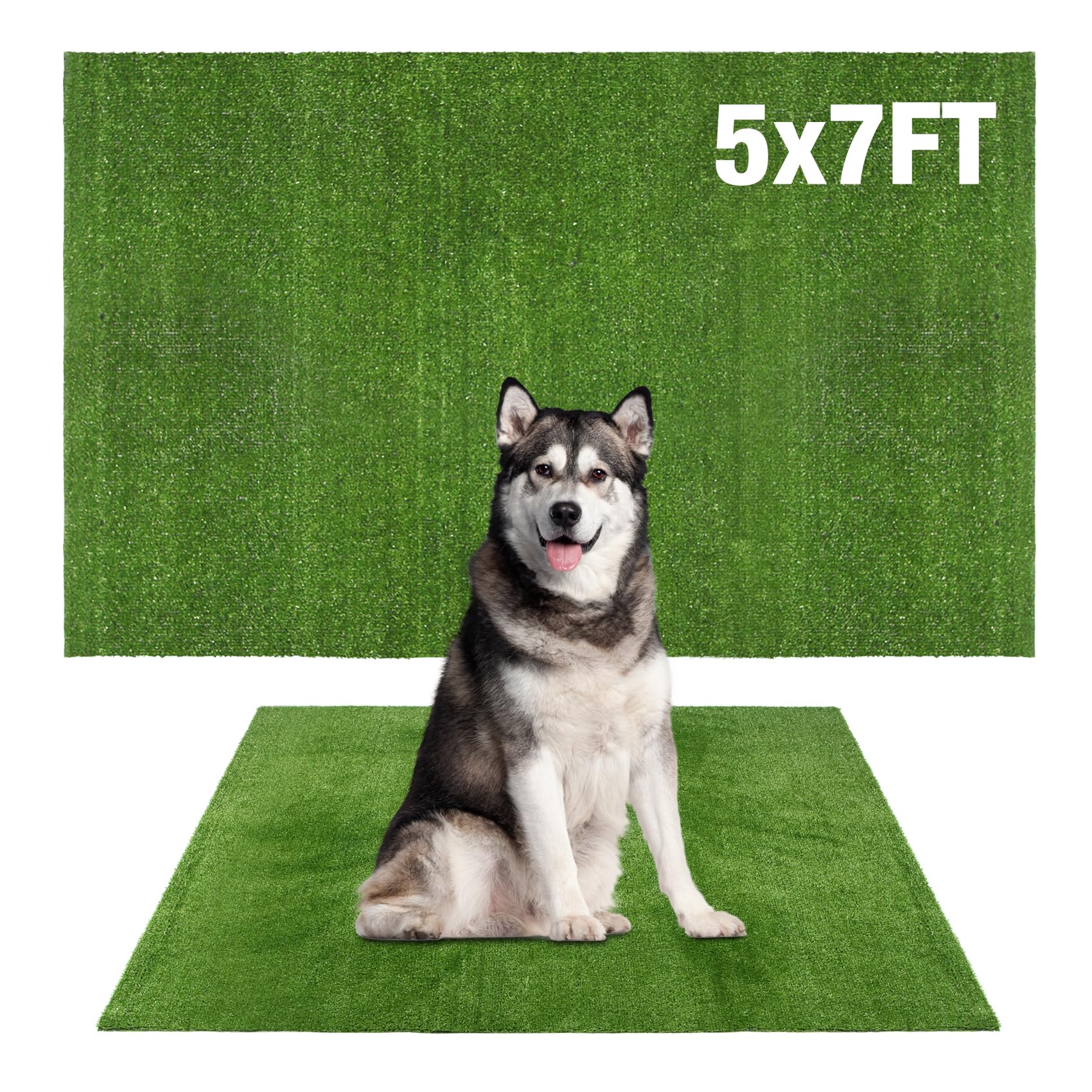 GLOBREEN Pet Artificial Grass 5FT x 7FT