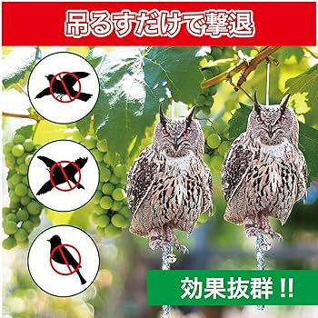 Amazon | Hyack 鳥よけ フクロウ 鳥 避け グッズ 鳩よけ カラス