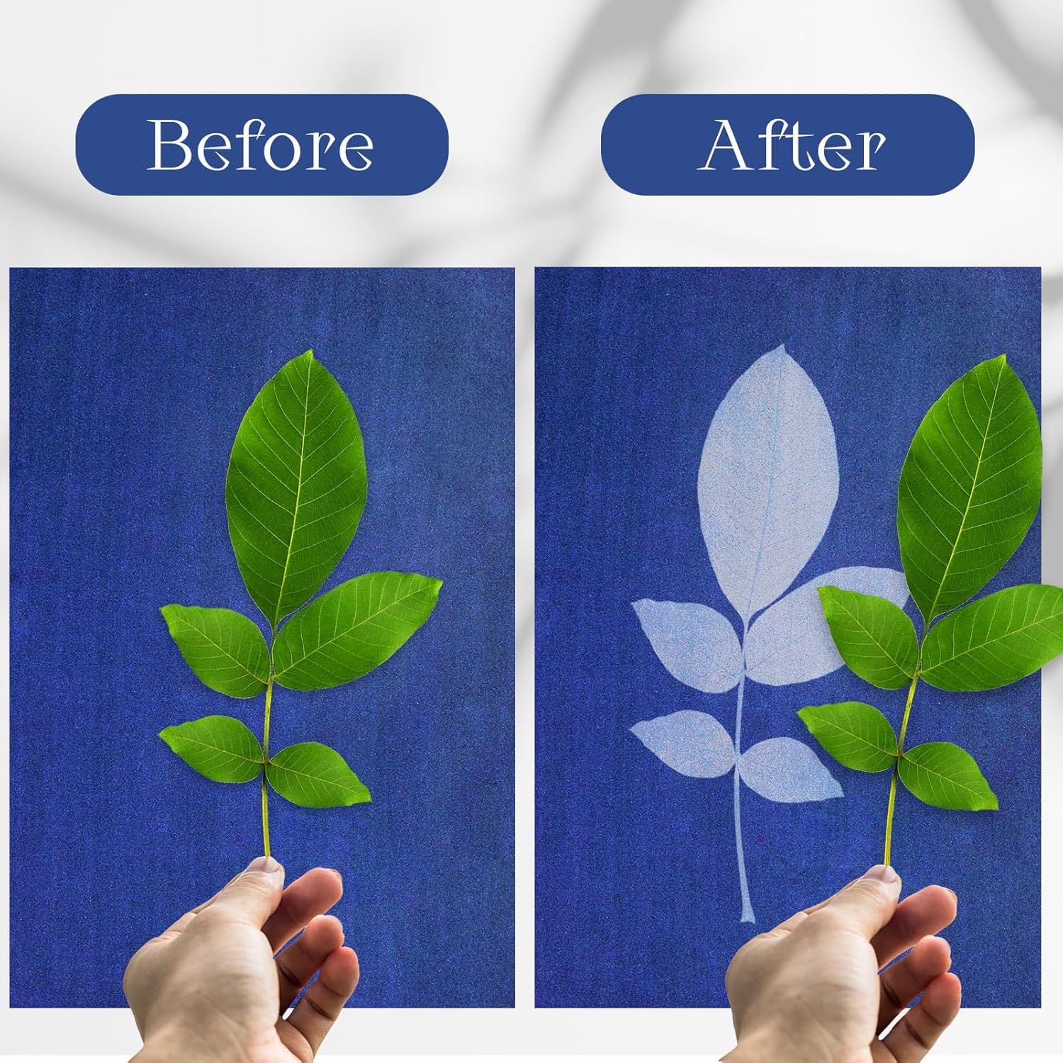 100 Sheet Sun Print Paper Kit, A5 Cyanotype Paper with 4 Sheet Acrylic Panel - Image 3
