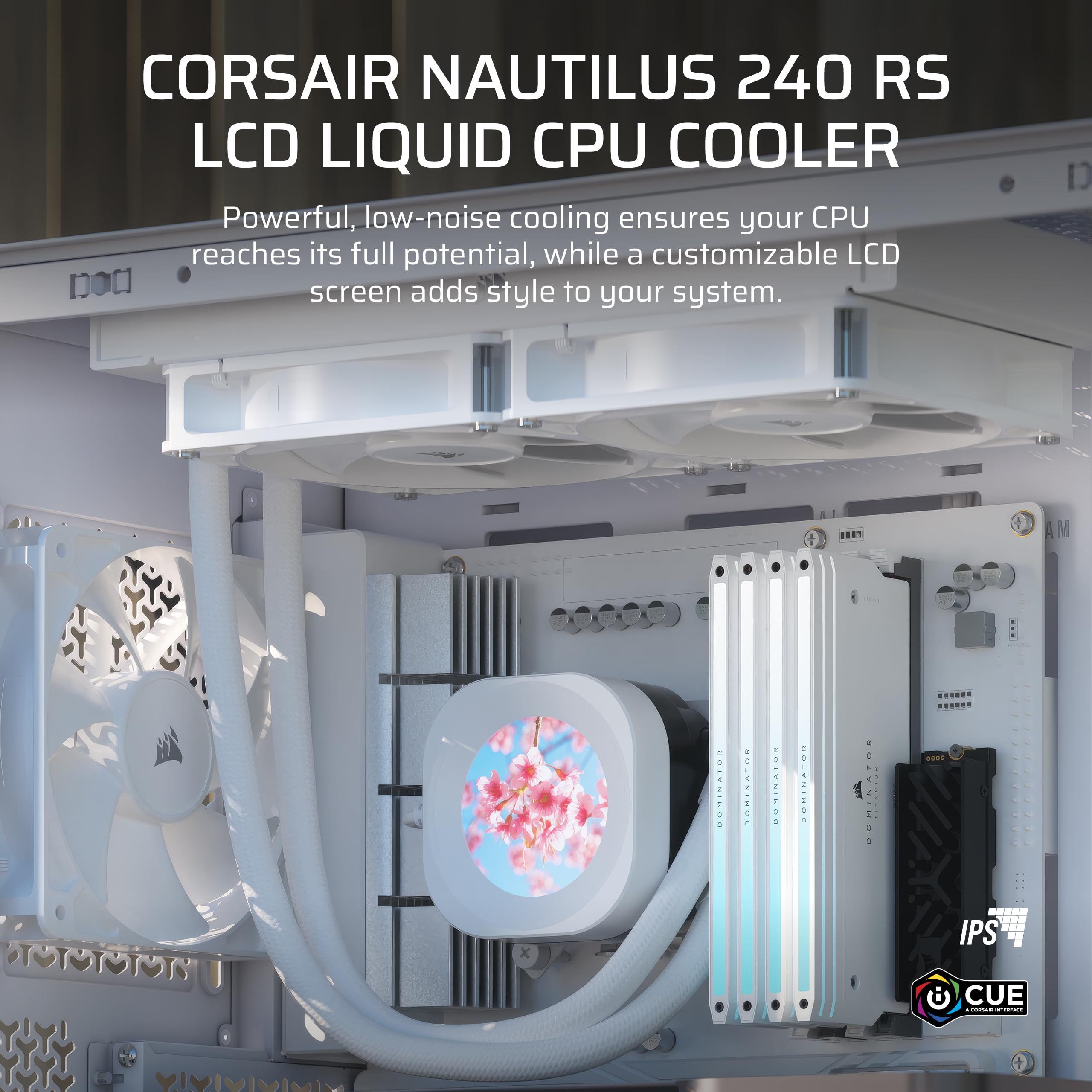 Amazon.com: CORSAIR Nautilus 240 RS LCD Liquid CPU Cooler – 2.1