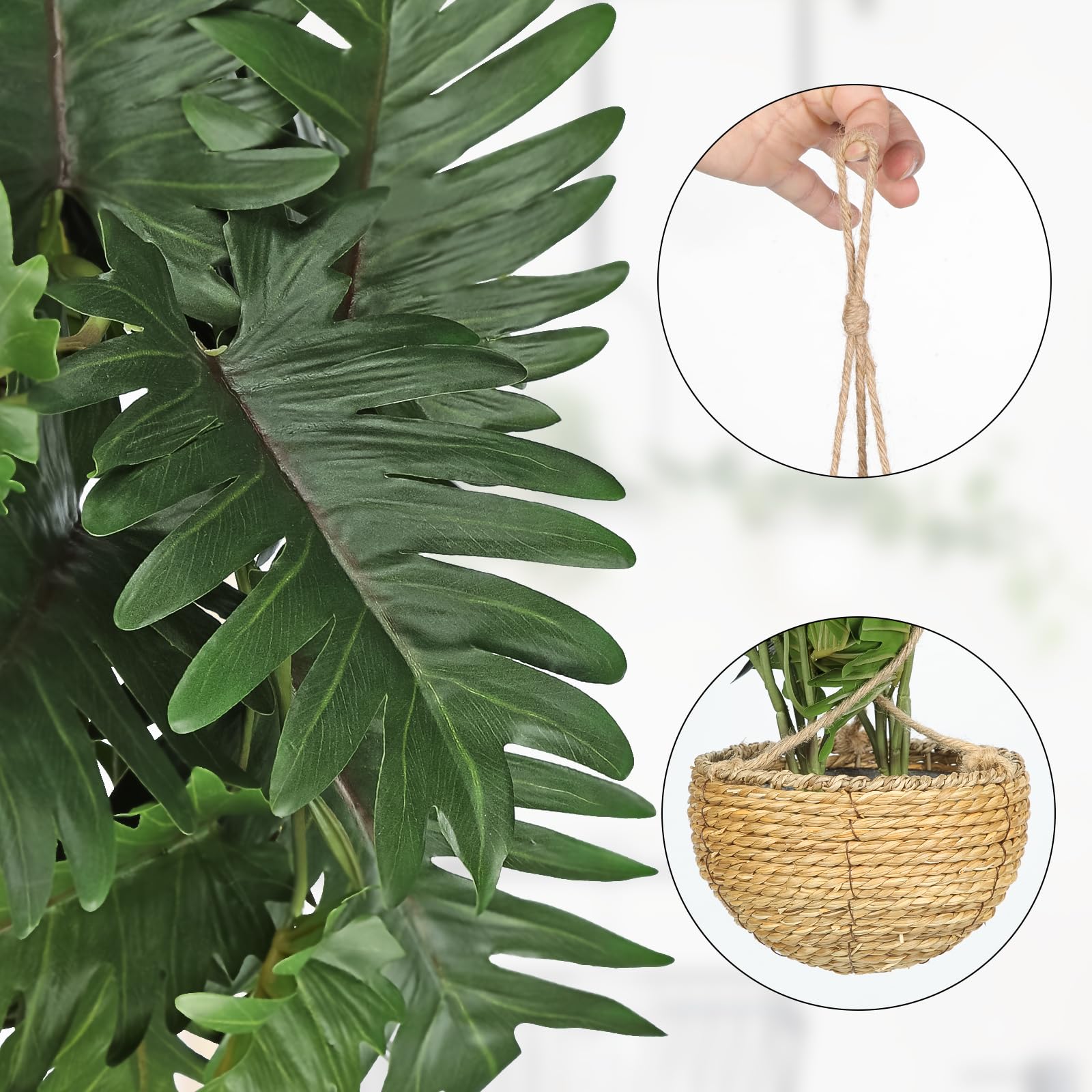 monstera groe bltter Monstera Deliciosa XXL, 120cm  vielgrn