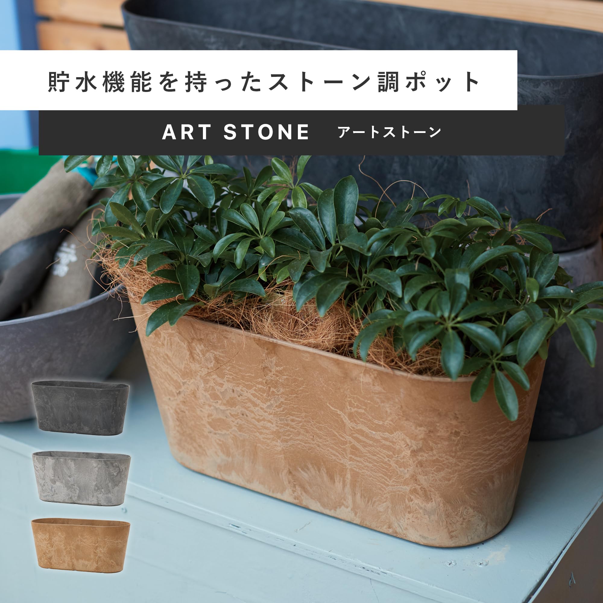 Amazon.co.jp: 植木鉢 小型中型 アートストーン ラウンドコンテナ M 38
