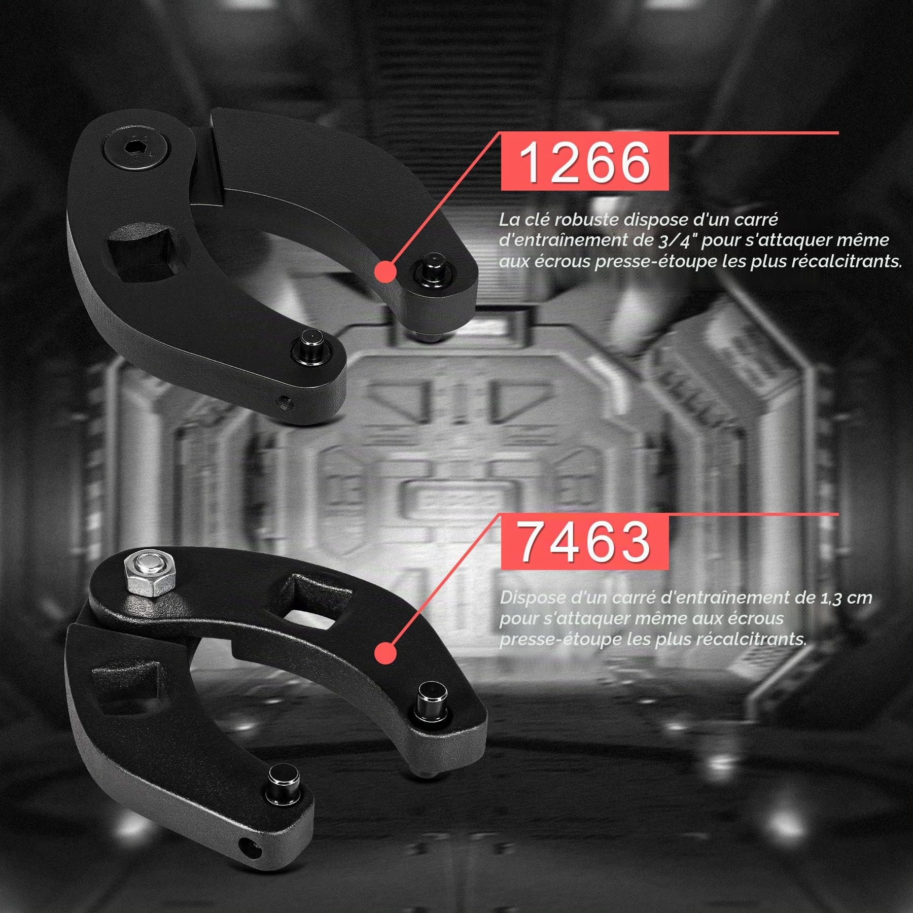 1266 & 7463 Lot de 2 clés à cliquet réglables pour cylindre hydraulique Grande et petite
