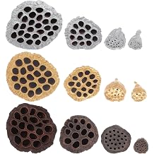 12pcs Dried Lotus Seedpod Decor Xmas for Table and Office DIY