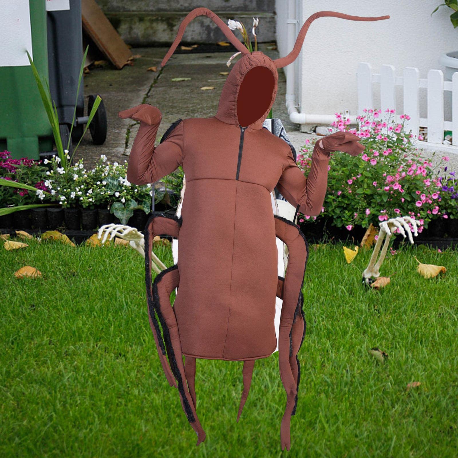 Costume Da Scarafaggio per Cosplay, Ideale per Servizi Fotografici
