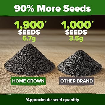 HOME GROWN 8 Onion Variety Mix 1600+ Vegetable Seeds Allium cepa