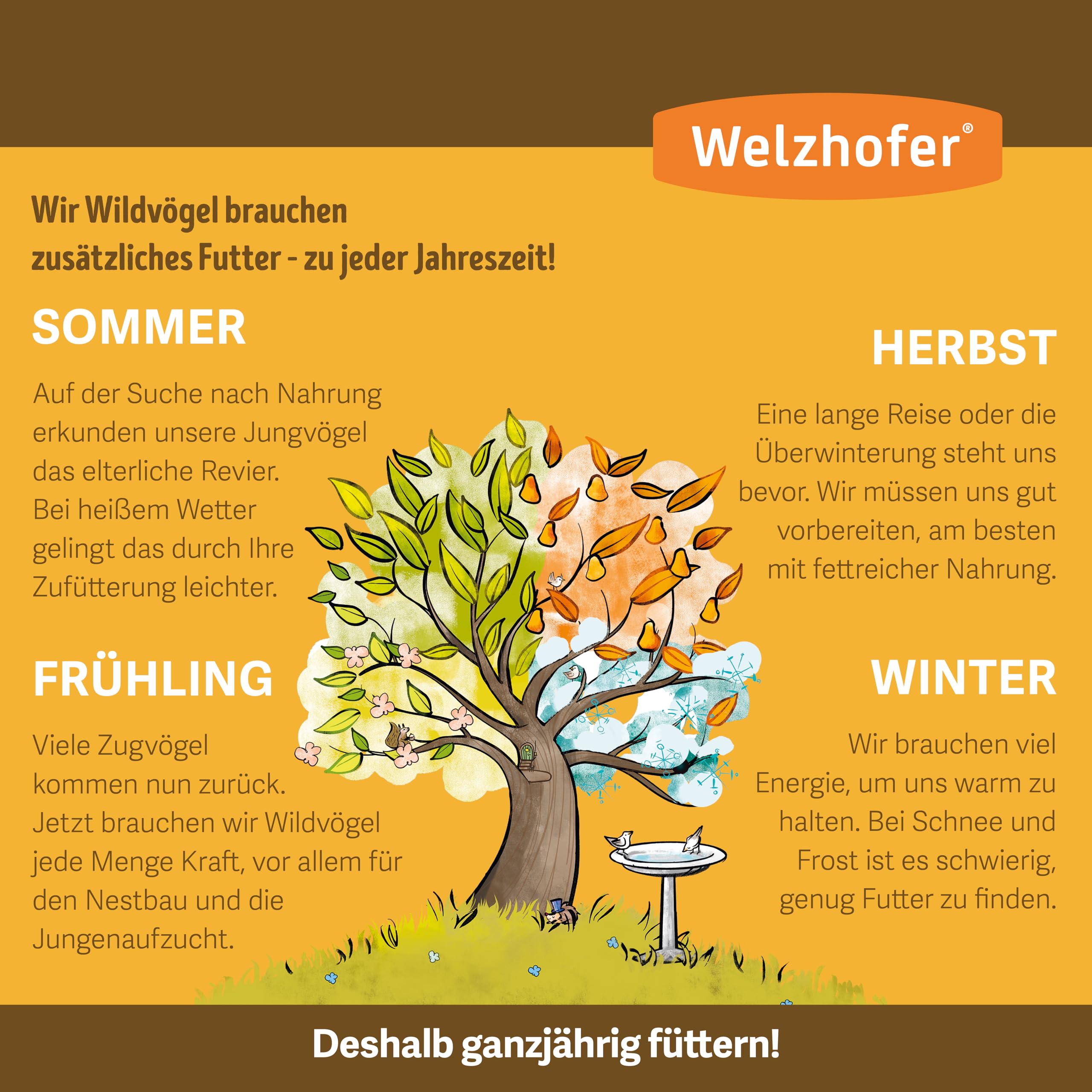 geschälte Sonnenblumenkerne 25kg Vogelfutter - Sauber, fein, nussig! Mit wertvollen Fettsäuren und Nährstoffen. Stärkt Schnäbel und hinterlässt Keine Schalenabfälle. Ideal für Wildvögel