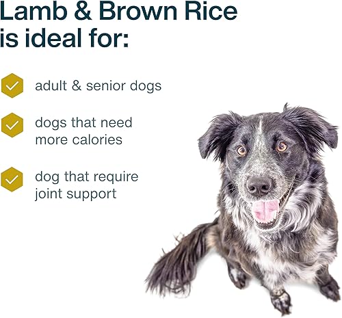 Miniatura 35 de JustFoodForDogs Alimento fresco congelado para perros, comida completa o alimento para perros, receta de alimento humano de carne de res y patata