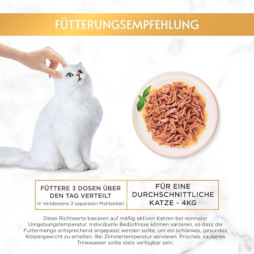 Gourmet Gold Cat Food in Thin Wet and Juicy Strips (4 x 24 x 85 g) - 7
