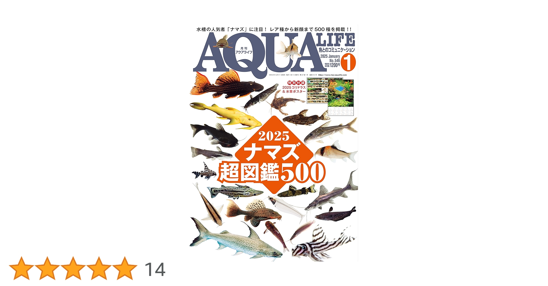 月刊アクアライフ 2025年01月号 ナマズ超図鑑500 ☆特別付録