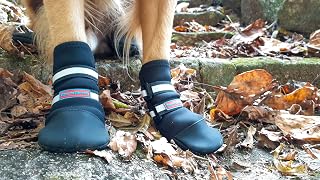 BarkBrite All-Weather Neoprene Dog Boots with Reflective Straps - Secure Paw Protection for Running, Hiking, Swimming (Black XL)