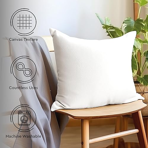 Vista 201 de Encasa Homes - Juego de 2 fundas de almohada, 18 x 18 pulgadas, lona de algodón teñidas, cuadradas, decorativas, para sofá, silla, cama y hogar, Azul