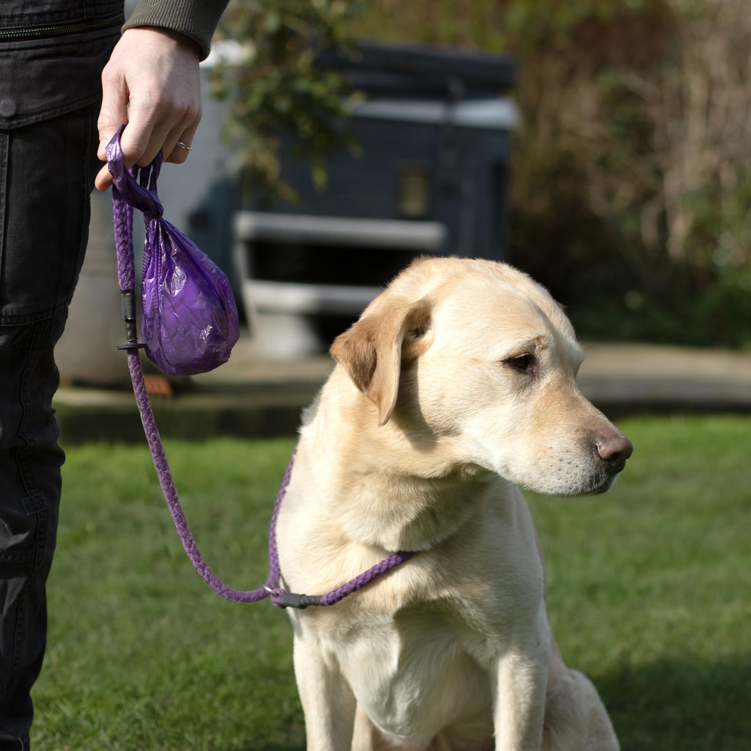 Lot De 270 Sacs à Déjections Canines - Antifuites Et Très épais