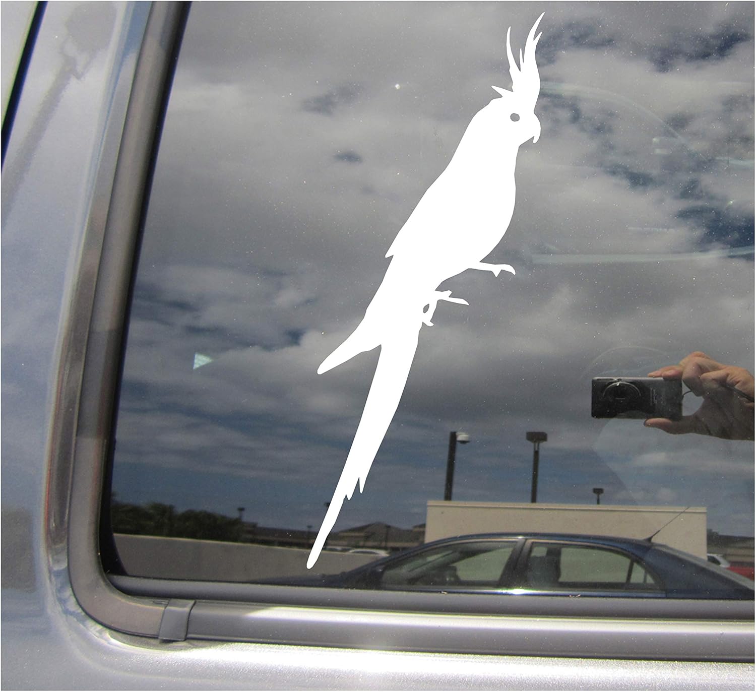 Cockatiel Bird - Cars Trucks Moped Helmet Hard Hat Auto Automotive Craft Laptop Vinyl Decal Store Window Wall Sticker 01275