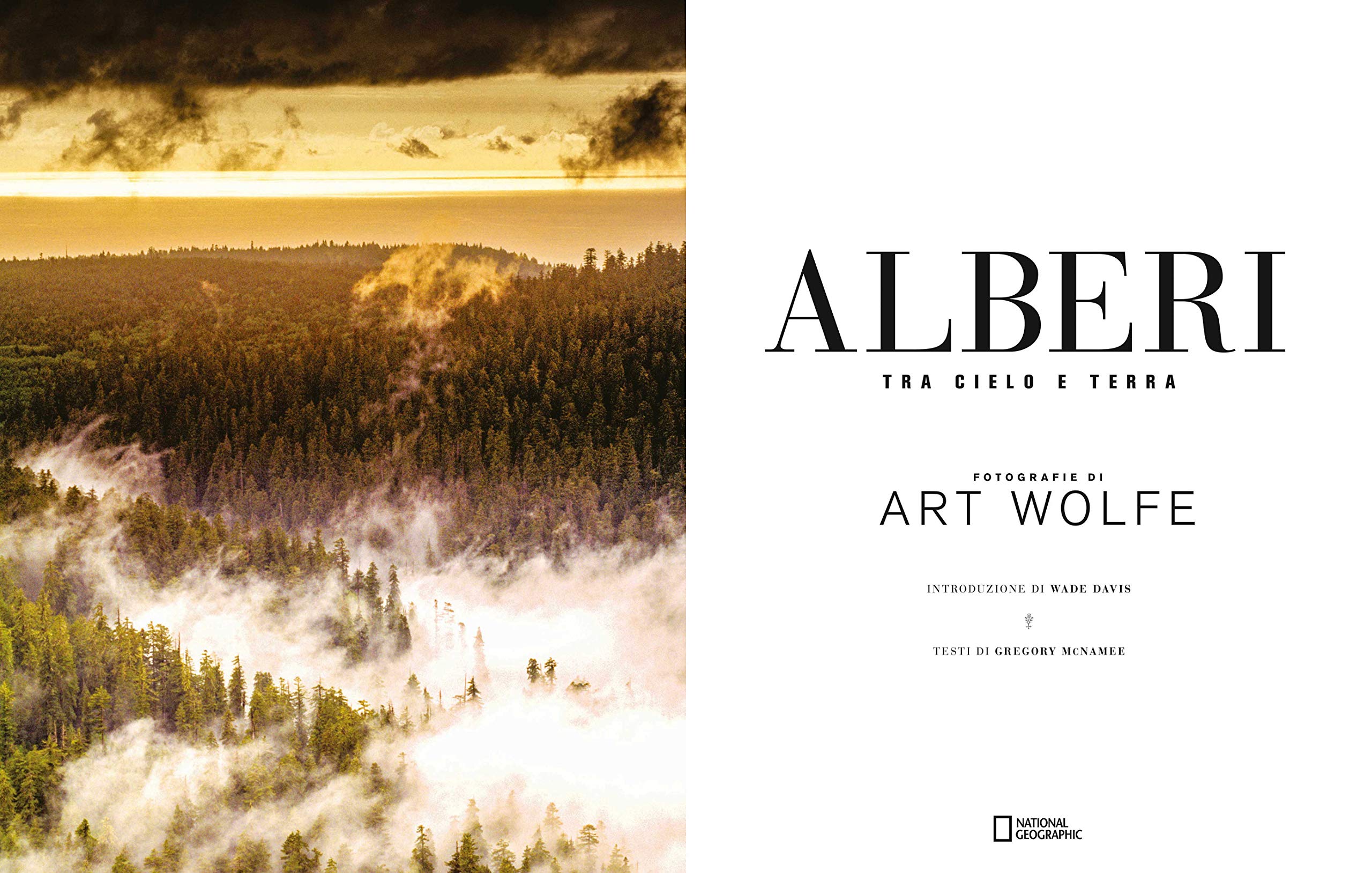 Alberi tra cielo e terra. Ediz. a colori