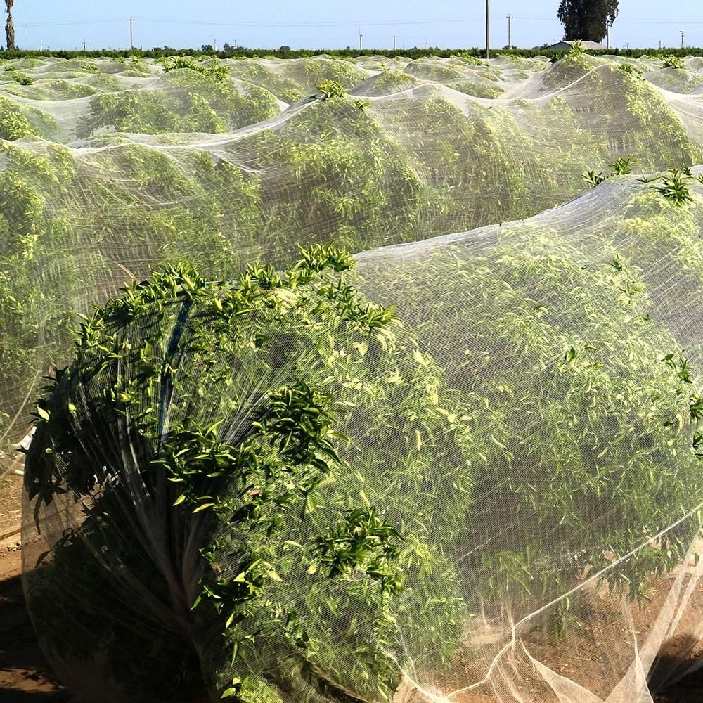 Filet Anti-Grêle Et Anti-Oiseaux 10m X 2m - PE Stabilisé UV Pour Potager, Arbres Fruitiers