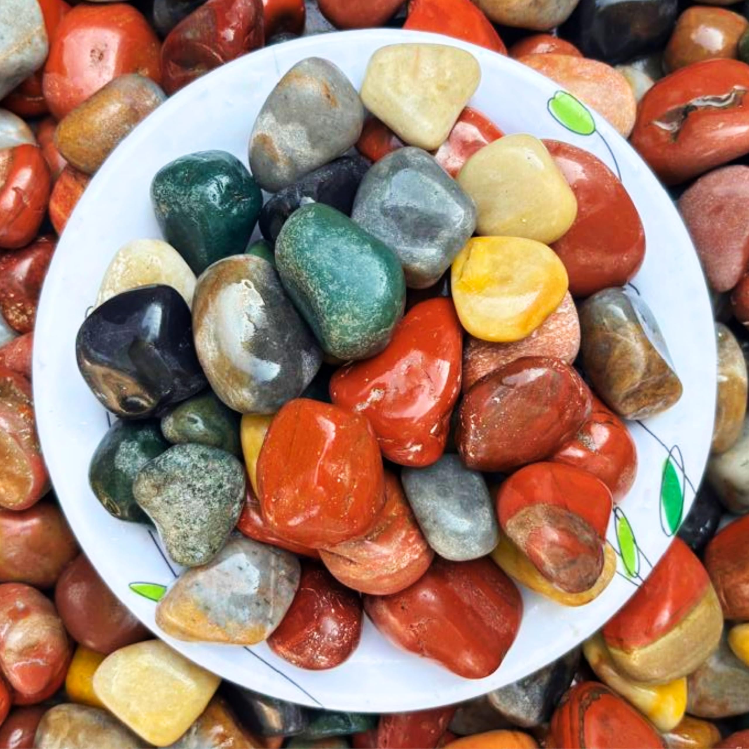 Foodie Puppies Multicolor Natural Polished Tumble Decorative Mix