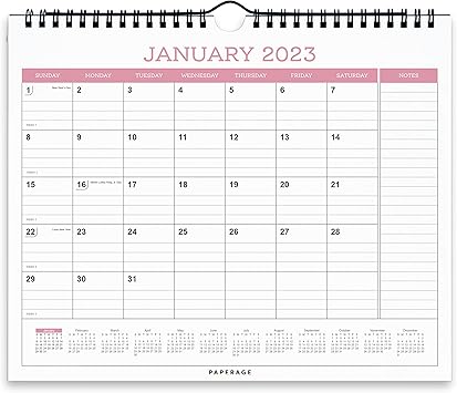 Amazon.com : PAPERAGE Calendar 2023 - 12 Months, Blush, Minimalist Wall Amazon.com : PAPERAGE Calendar 2023 - 12 Months, Blush, Minimalist Wall