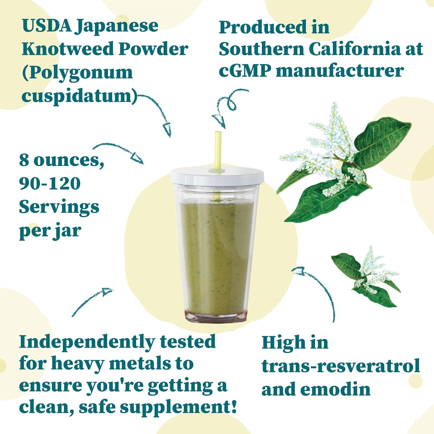 Nature Restore Japanese Knotweed Powder, 8 Ounce, Natural Trans-resveratrol, Non GMO, Gluten Free, Also Known as Polygonum Cuspidatum
