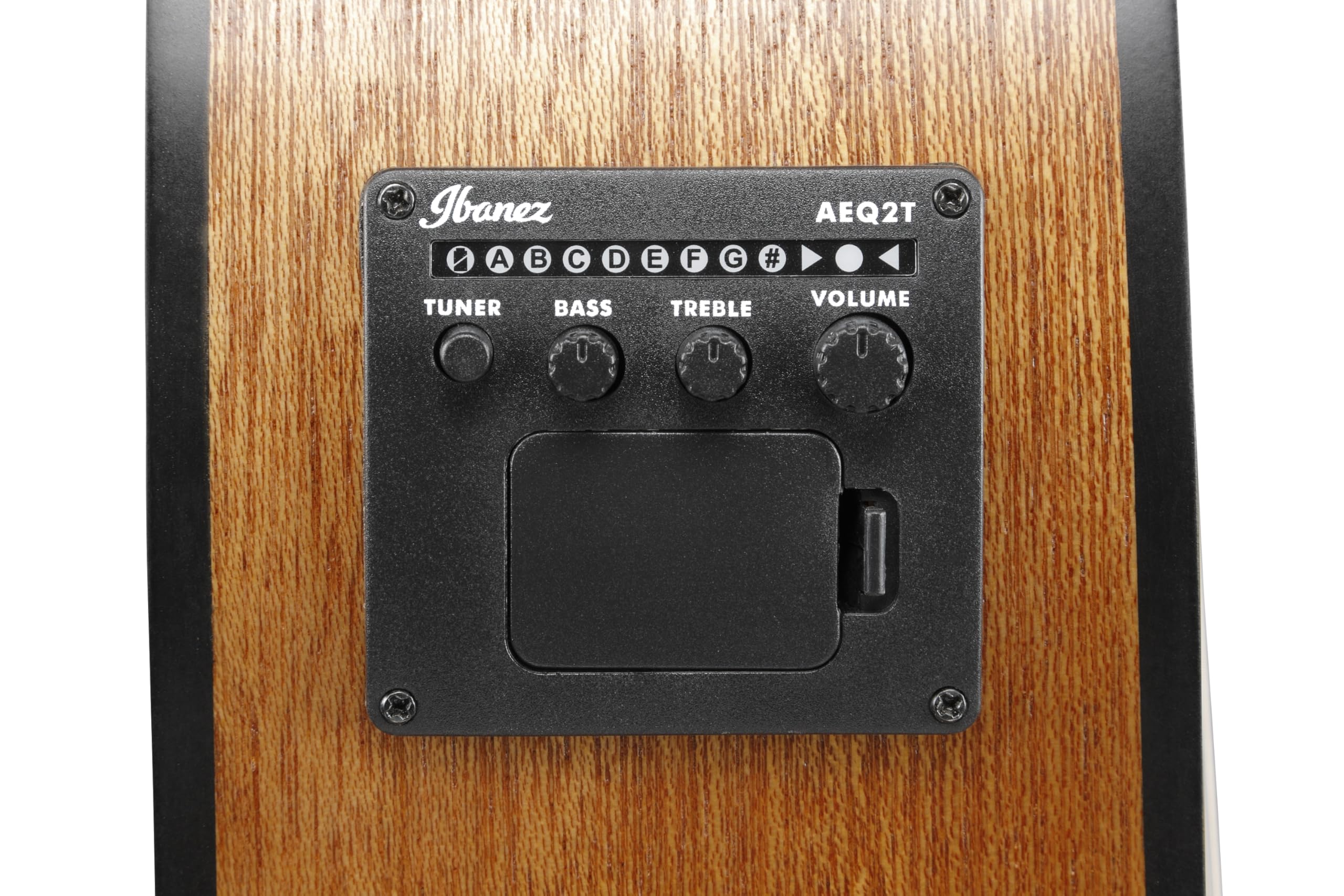 Ibanez Acoustic Gitarre / GA3ECEOAM Standard