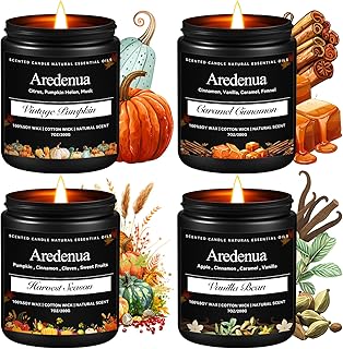 Fall Candles Set – 4 Pack Holiday Scented Soy Candles, 28oz Cozy Winter Candle Scents of Cinnamon, Vanilla Bean & Harvest,Pumpkin | Thanksgiving & Christmas Candle Gifts for Women Men