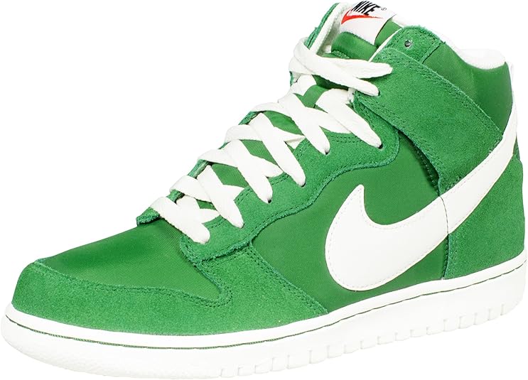 nike dunk 2013