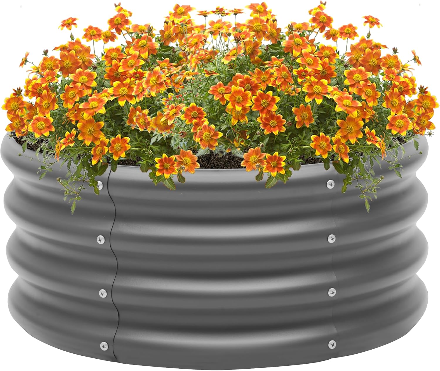 Besebay 2-Pack 2x1ft Galvanized Raised Garden Bed, Outdoor Planter Bed,