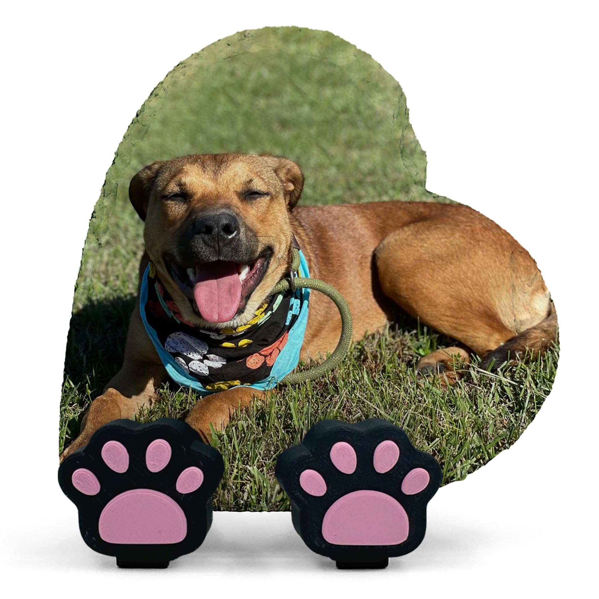 TULLUN Personalised Memorial Heart Shape Photo Name Plaque For Pet Cat Dog Slate Natural Stone Frame Paw Grave Marker with Paw Display Stands - Full Print - V2 Size | 4" x 4" or 10 x 10 cm |