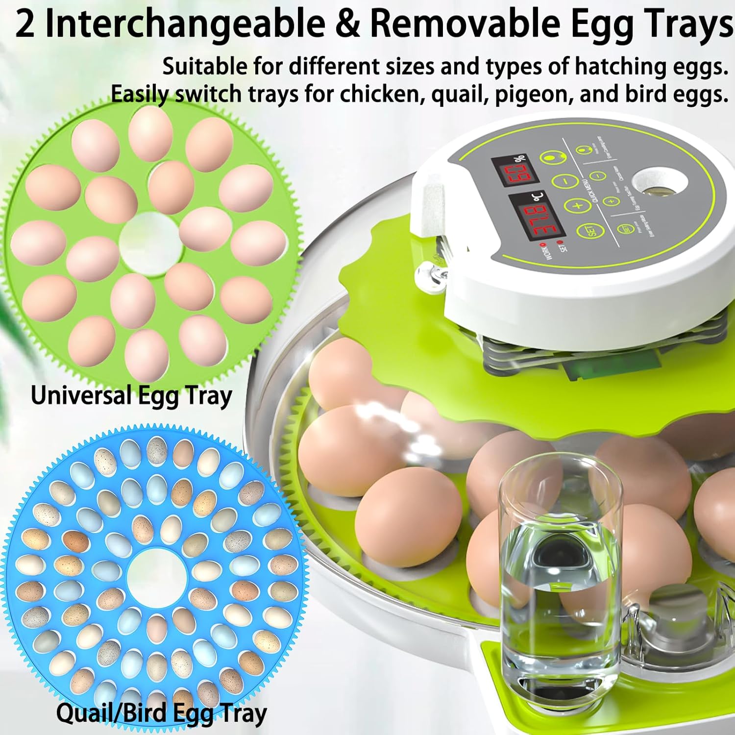 18/60 Egg Incubator with Humidity Display, Incubators for Hatching Eggs, Egg Candler, Automatic Egg Turner, Poultry Egg Incubator for Hatching Chicken Duck Goose Bird Quails- Green 2 Egg Trays