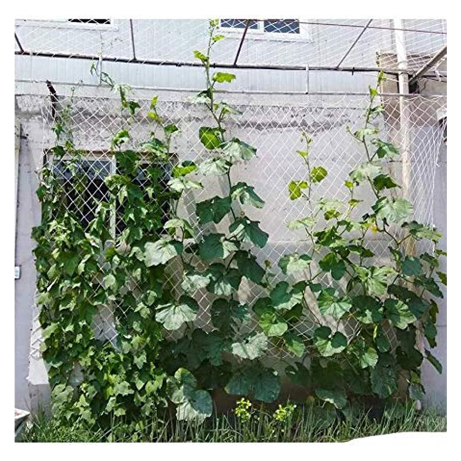 SHAARI Kletternetz, Polyester-Material, Weiche Textur, UV-BestäNdig, Geeignet für Kletterpflanzengitter, Rosengitter(5cm mesh,1.2x8m)