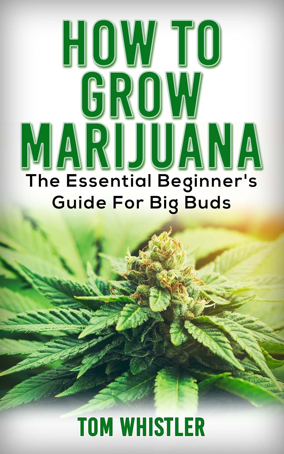Marijuana How to Grow Marijuana The Essential Beginner's Guide For