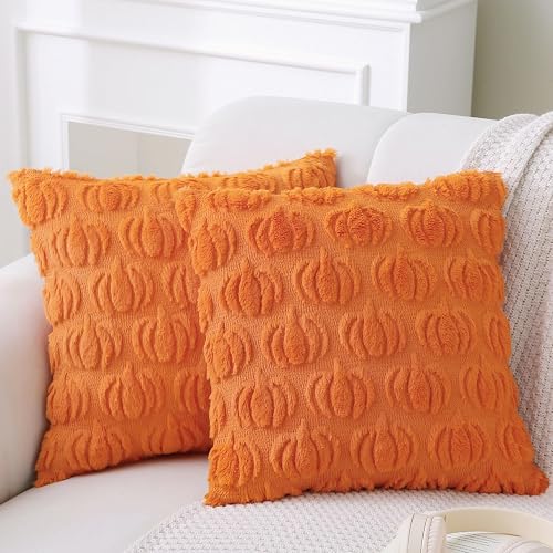 Halloween Throw Pillows with Inserts, 2 Pack, 18" x 18"