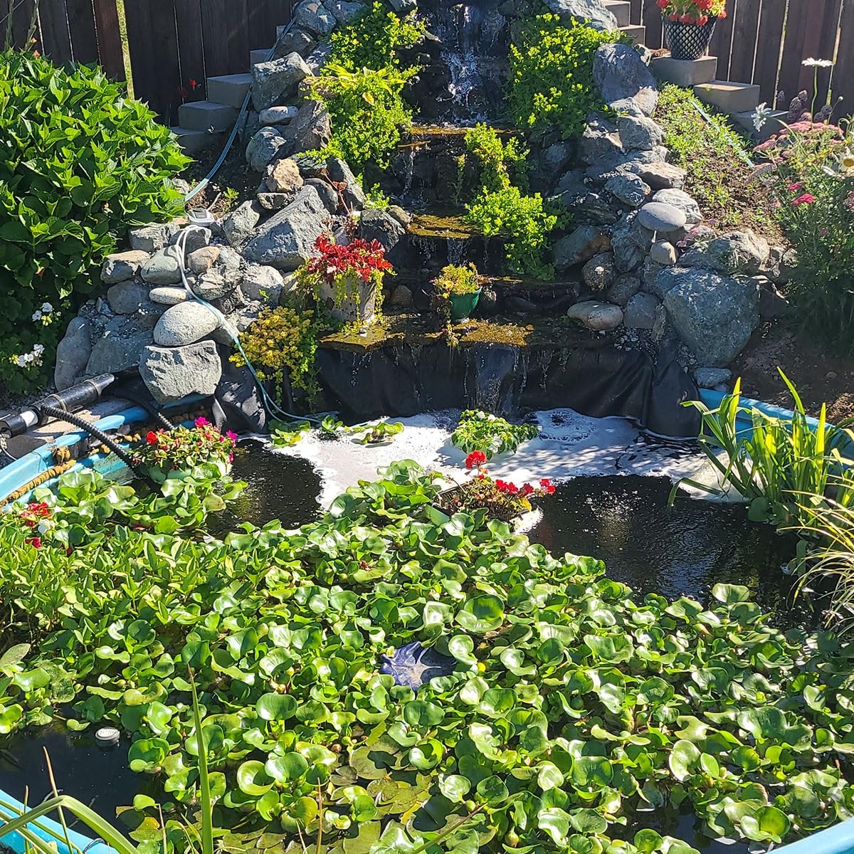 View 6