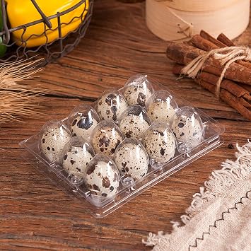 150 Pcs Quail Egg Crates 12 Grids Plastic Blank Quail Egg Packs Bulk 3x4 Style Quail Egg Containers Holds Up to 12 Small Quail Egg Baskets for Home Family Kitchen Refrigerator Farmhouse