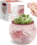 PieceRelax 3D Puzzle Planter - Oiseaux chantants et fleurs - Folklore danois, Pots de fleurs de décoration maison pour cactus intérieurs, pots de sucents [K1100]