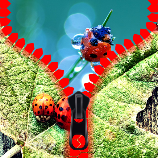 Ladybug Zipper Lock Screen - App on Amazon Appstore
