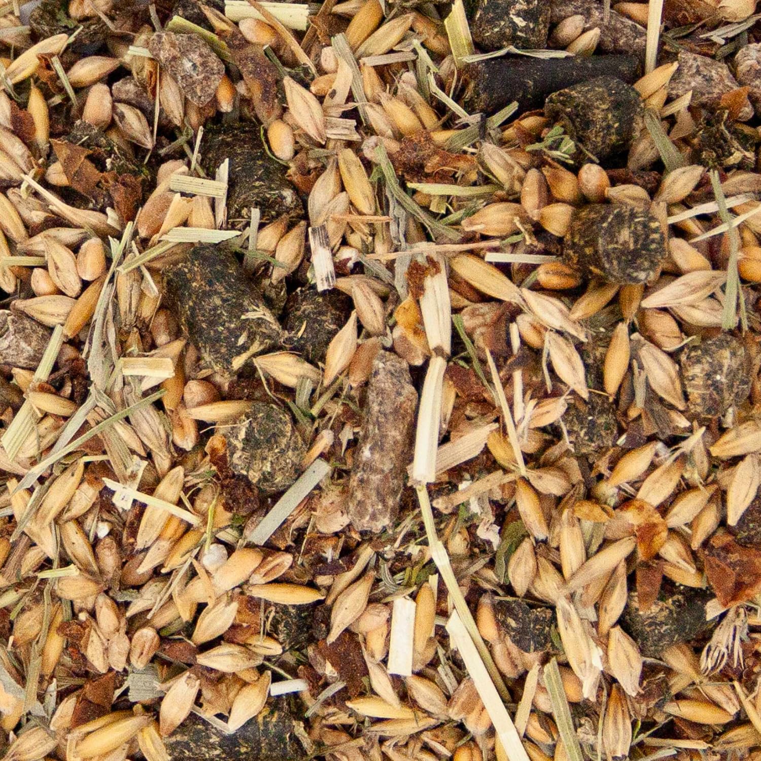 Agrarzone Mangime per alpaca in muesli 20 Kg - Formula muesli 'light' a ridotto contenuto proteico - Ideale per l'alimentazione di alpaca, lama, cammelli e cavalli